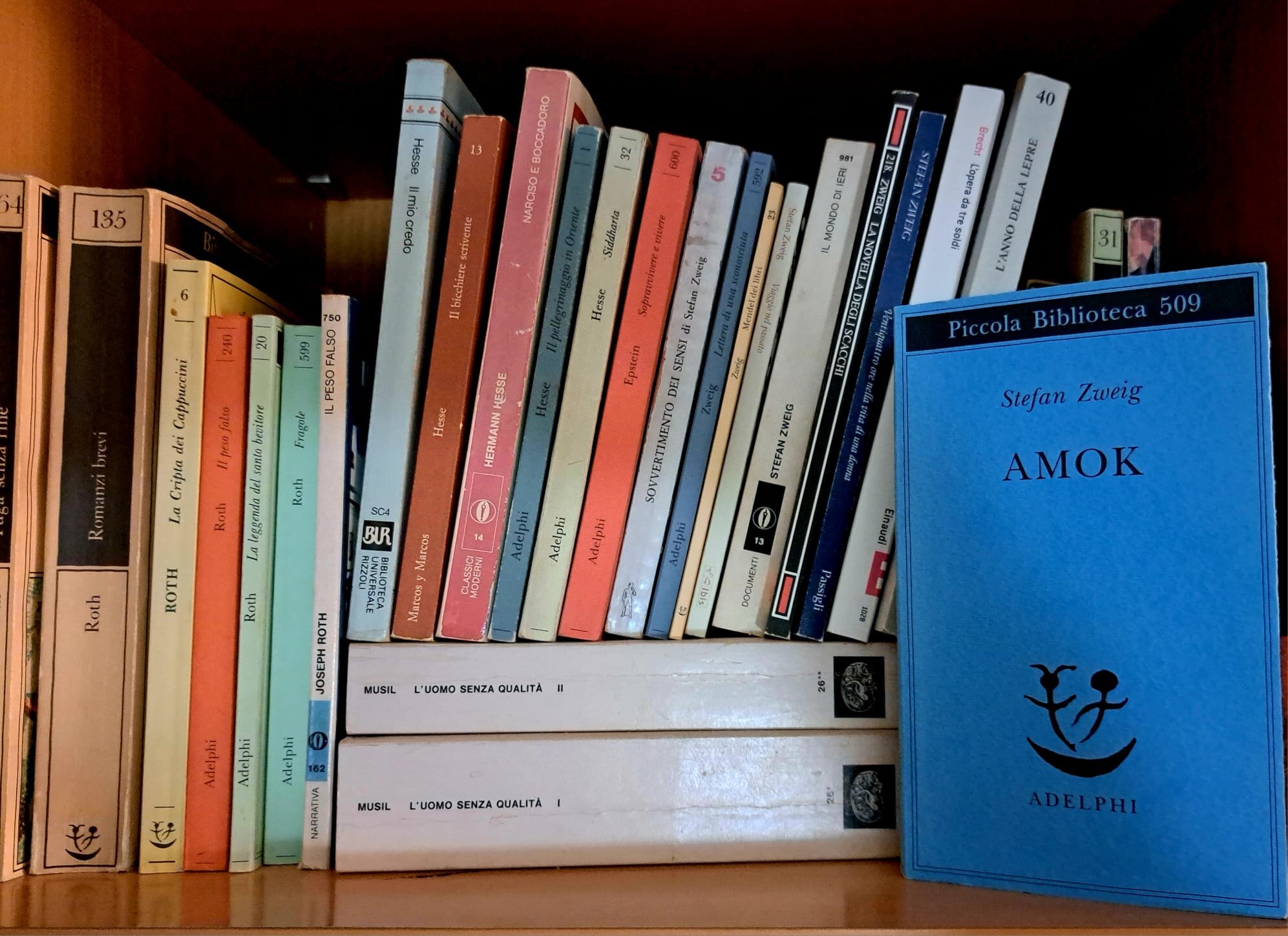 La nicchia - numero 104 - Amok, romanzo breve e perfetto