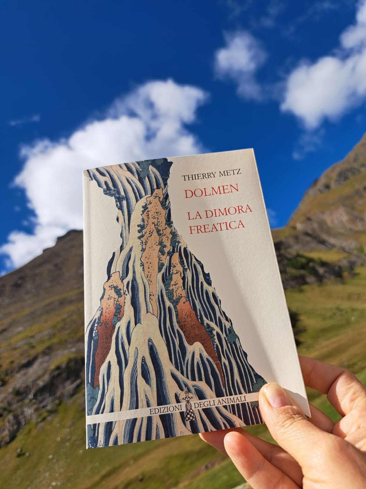 La nicchia - numero 97 - All'uomo che sgrana il suo libro tra gli uccelli!