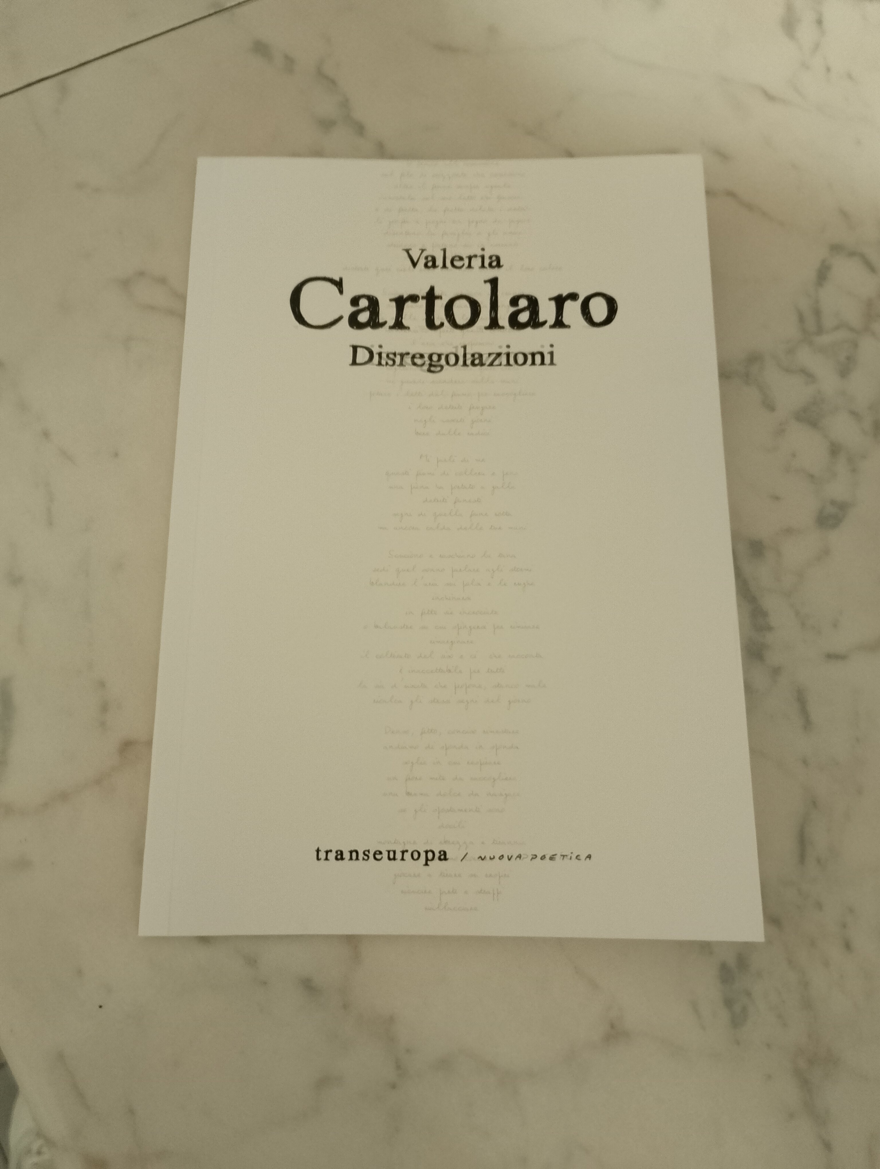La nicchia - numero 90 - Disregolazioni di Valeria Cartolaro