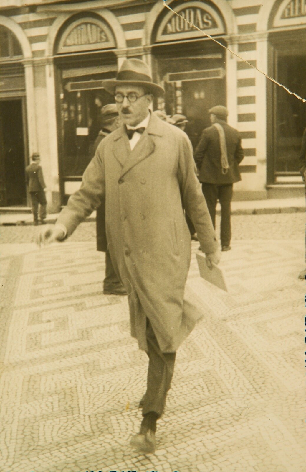 La nicchia - numero 113 - Andrea Corsi