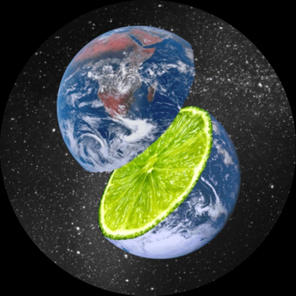 "La Rivoluzione Verde nell'Edilizia: Verso un Futuro Sostenibile con la Bioedilizia Vegetale"