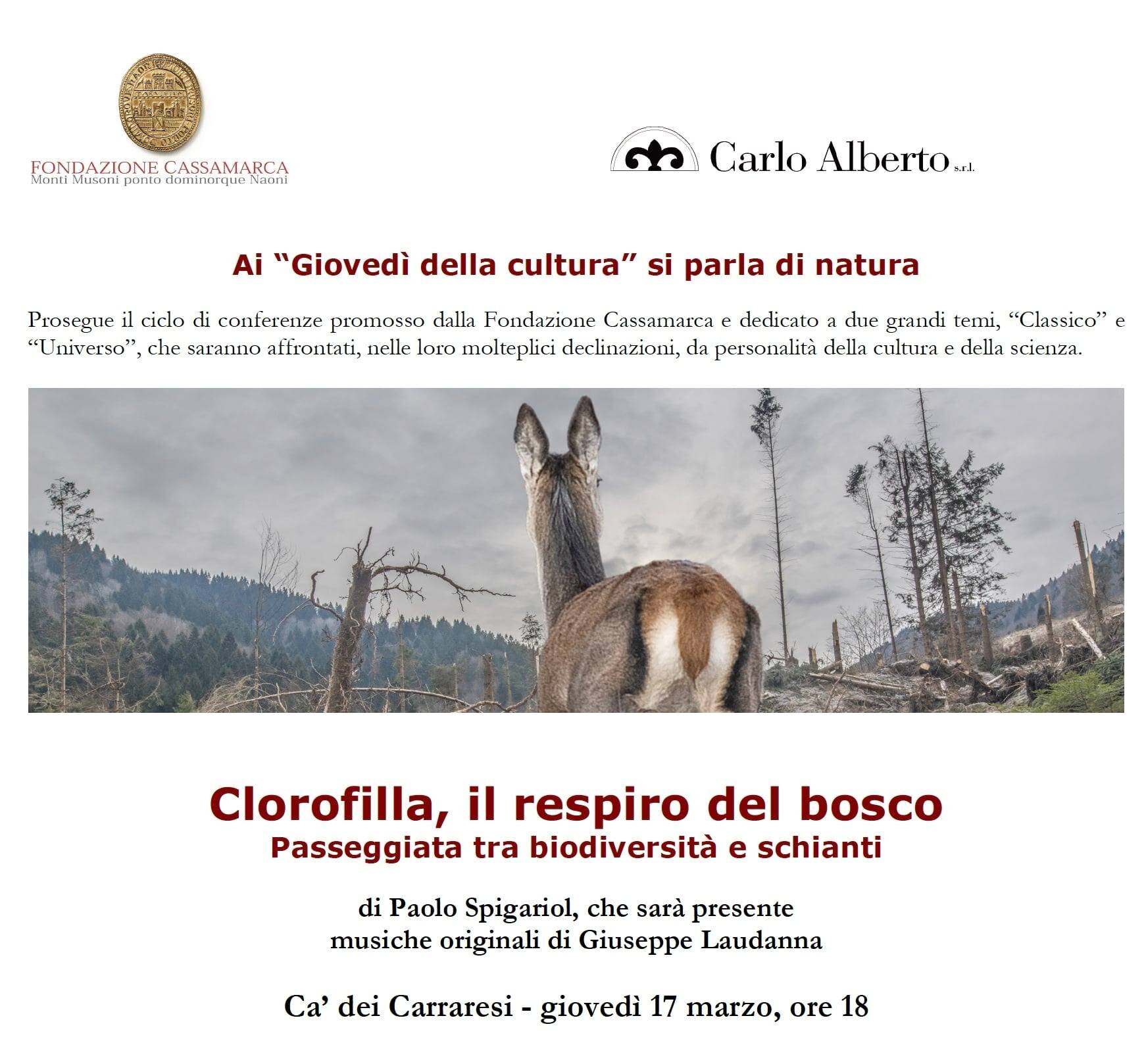 Clorofilla