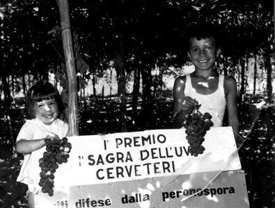 gruppo aringoli - starrylotus1.jpeg