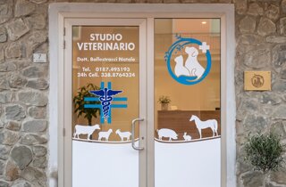 osteria%20sul%20mare%202.jpeg