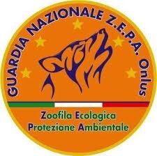 Festa patronale Sant' Antonio di Padova giorni 16-17-18 Giugno 2023