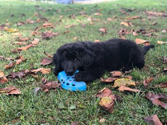 img-20191005-wa0003.jpeg