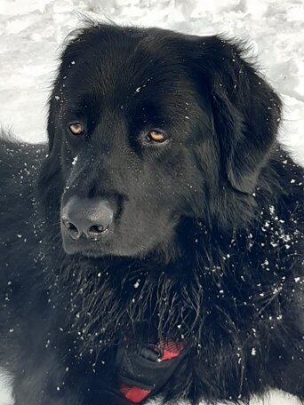 img-20221216-wa0006.jpeg