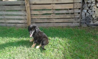 20160906_171515.jpeg