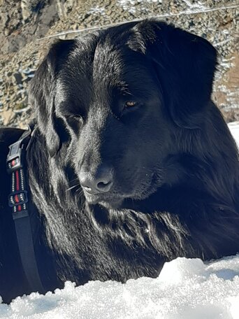 img-20230122-wa0020.jpeg