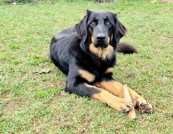 img-20201103-wa0019 copia.jpeg