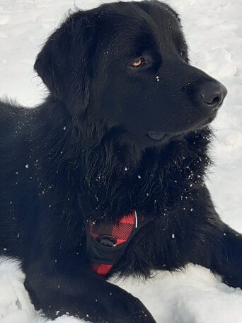 img-20221216-wa0005.jpeg