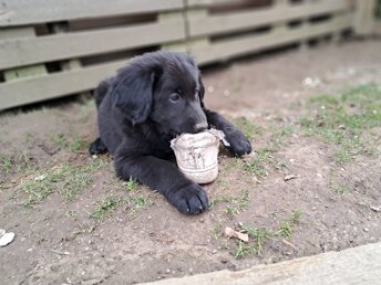 20250327_163044.jpeg