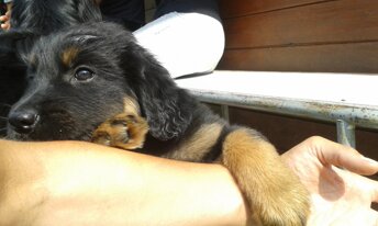 20170615_164850.jpeg