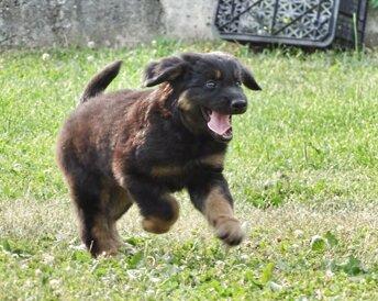 img-20170624-wa0034.jpeg