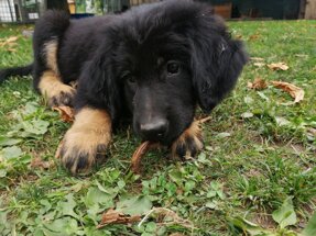 img_20220628_160013.jpeg