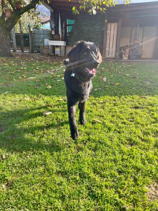 img-20241027-wa0129.jpeg