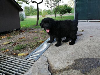 img_20190915_181642.jpeg