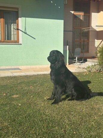 img-20250206-wa0071.jpeg