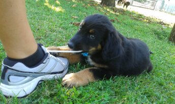 20160828_172306.jpeg
