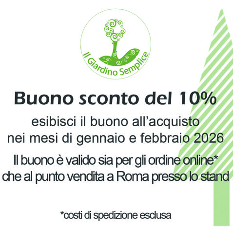 buono-sconto.jpeg