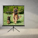 Tempo per proiezione manuale con treppiede Made in Italy