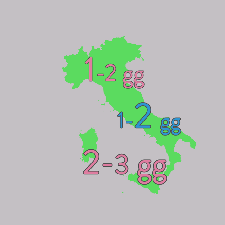 consegna in 2 giorni