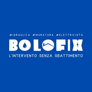 bolofix logo 2.jpeg