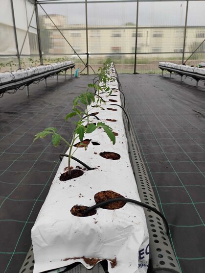 ff536aa6-8697-4dae-be62-08d32a0741e4.jpeg ff536aa6-8697-4dae-be62-08d32a0741e4.jpeg