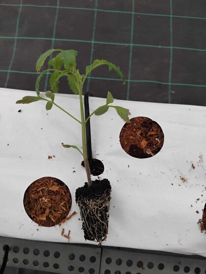 75c34a00-7da0-4ca9-81ae-a686f112f1b0.jpeg 75c34a00-7da0-4ca9-81ae-a686f112f1b0.jpeg