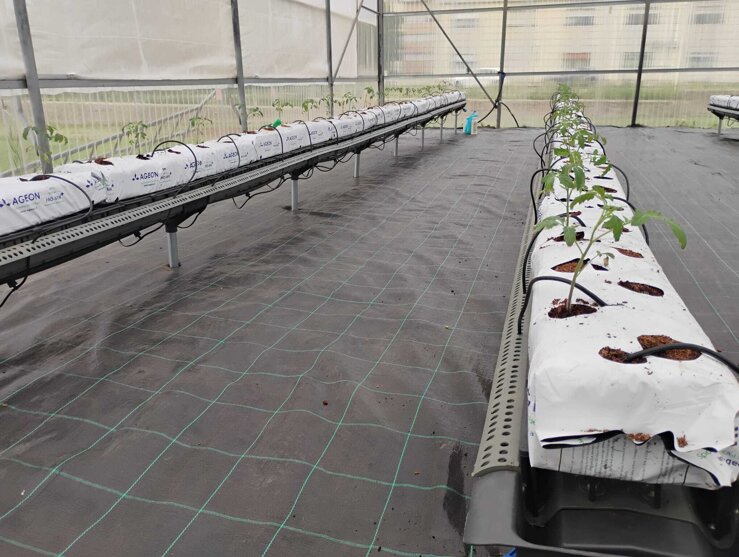 466ae6db-e320-4a10-9468-88b15a69b9a9.jpeg 466ae6db-e320-4a10-9468-88b15a69b9a9.jpeg