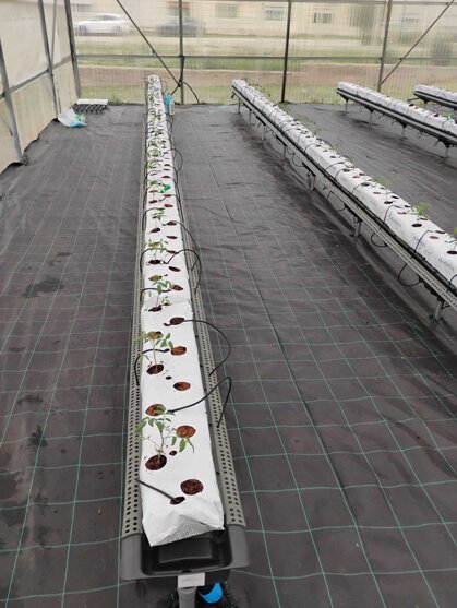 75308c2b-1d26-47d4-b8b6-0c3c578f8fb9.jpeg 75308c2b-1d26-47d4-b8b6-0c3c578f8fb9.jpeg