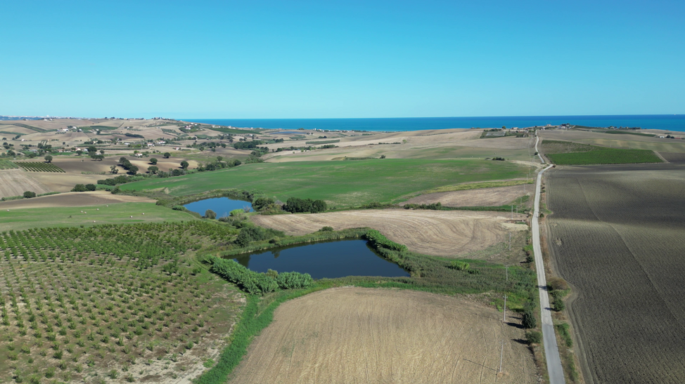 vlcsnap-2025-12-05-21h41m25s684