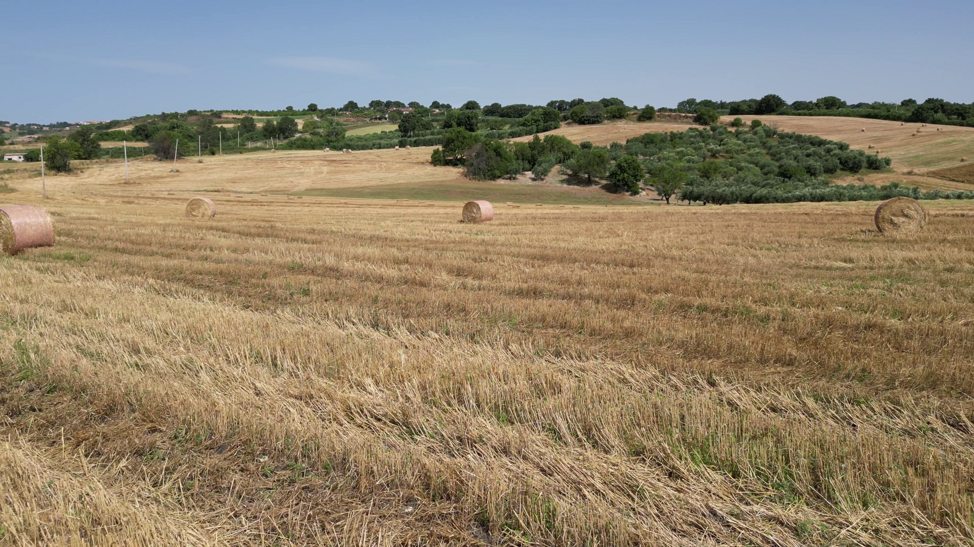 vlcsnap-2026-01-14-20h33m57s327