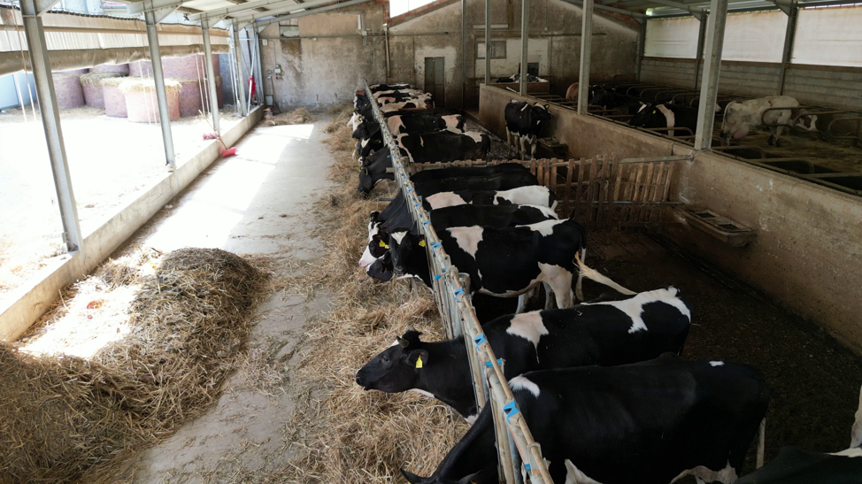 vlcsnap-2026-01-14-20h31m57s432