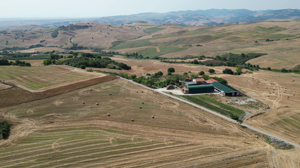 vlcsnap-2025-12-05-21h28m41s592