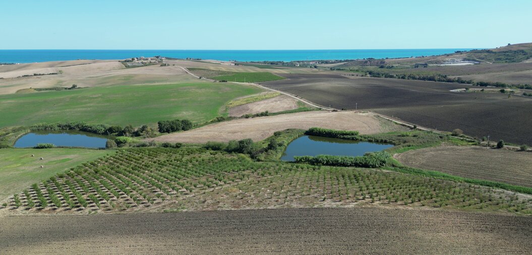 fotos001.jpeg fotos001.jpeg