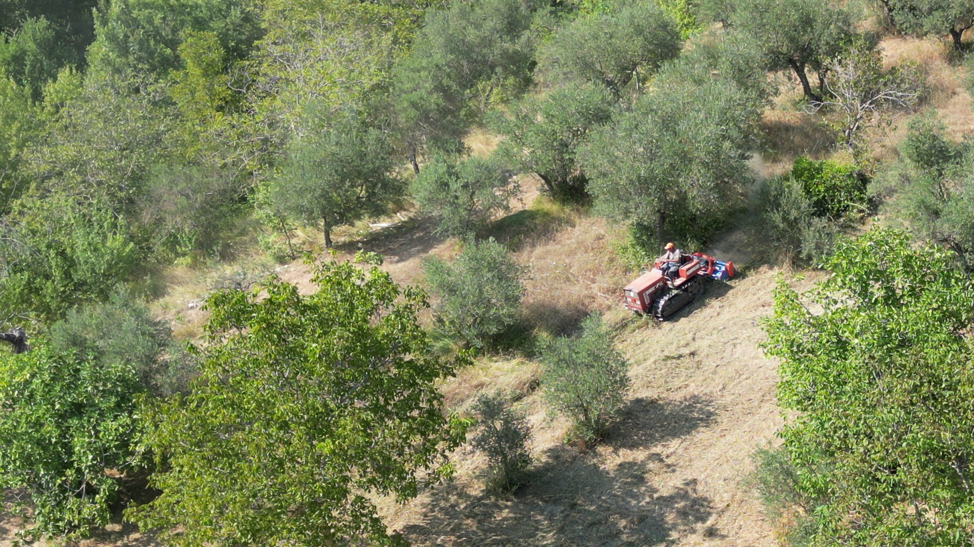 vlcsnap-2024-12-02-23h37m46s236