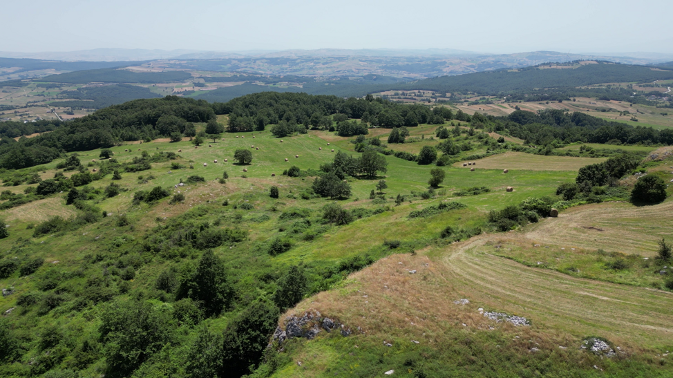 vlcsnap-2026-01-14-20h39m07s419