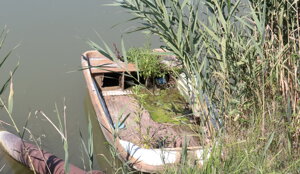 img_9298.jpeg