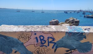 img_20250523_173037552_hdr.jpeg