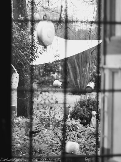 img_7721.jpeg