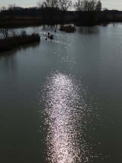img_7936.jpeg