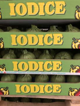 03f904a54357ea413485b82879c74702f236678e