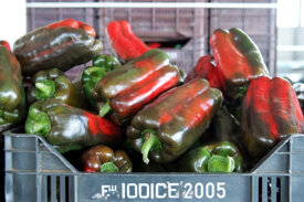 1787847e3080339e0ea34395fa1f0678d53a2793