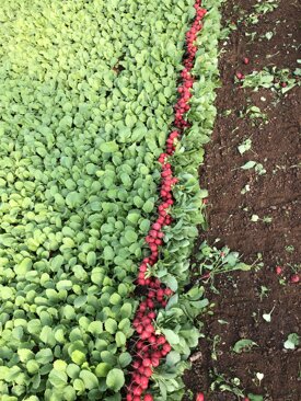 a74e8171cf5d26fb8ecd09c9e5a81c4ab03fe95f