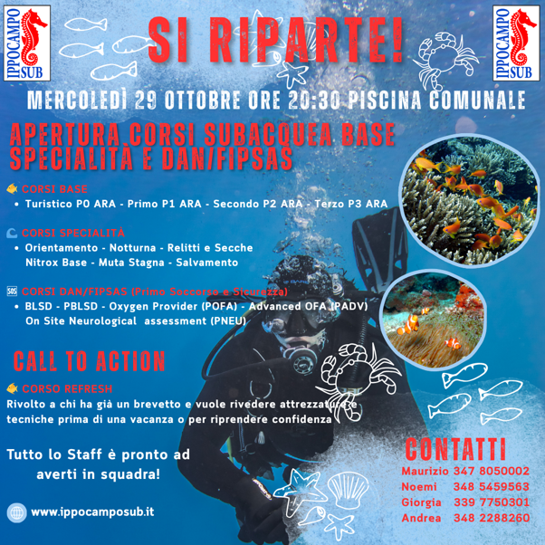 blue bold scuba diving instagram post