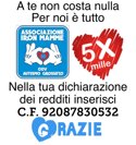 5mille.jpeg