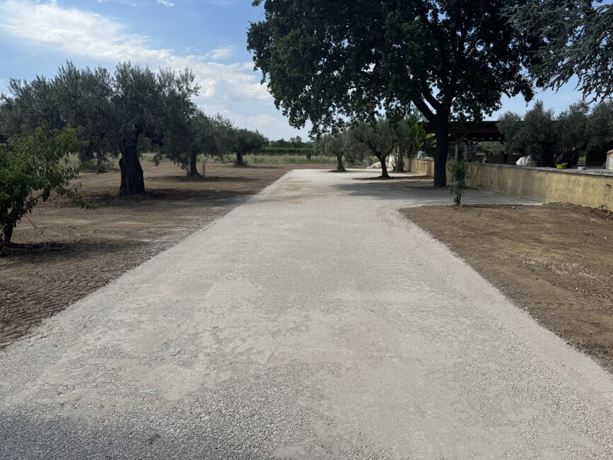 img_3239.jpeg img_3239.jpeg