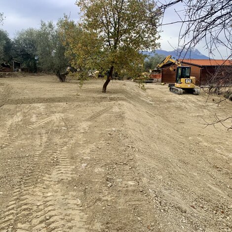 img_2824.jpeg img_2824.jpeg