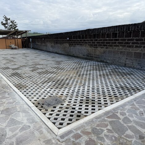 img_3239.jpeg img_3239.jpeg